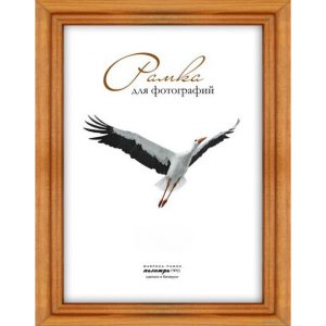 Рамка для фото Палитра 630