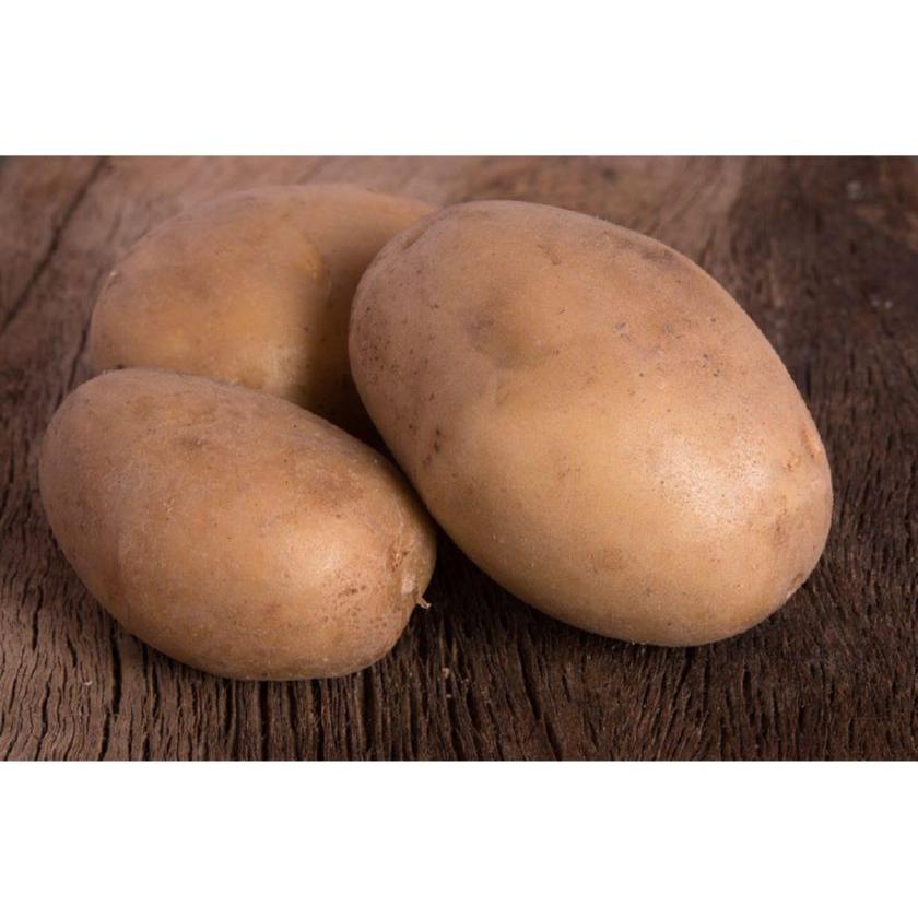 Сорт картофеля варяг фото и описание