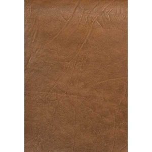 Кожа иск. Элита 54 бежевый