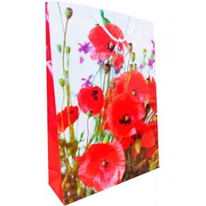 Пакет бумажный TG-20 средний