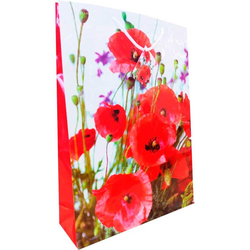 Пакет бумажный TG-20 средний Пакет бумажный TG-20 средний