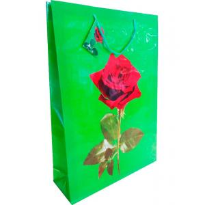 Пакет бумажный TG-80 CD