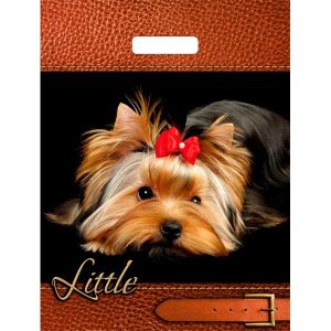 Пакет Йорк с вырубной ручкой