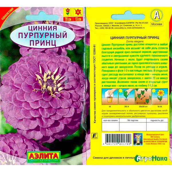 цинния пурпурная аэлита. принс purple rain. фиолетовый принц. цинния крупноцветковая аэлита. цинния великолепный принц.