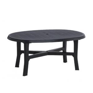 Стол овал Kesko Senukai DANUBIO 165х110х72 см